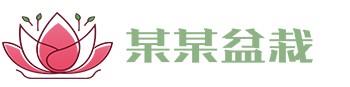 球速体育(QIUSU)官方网站-SPORTS
